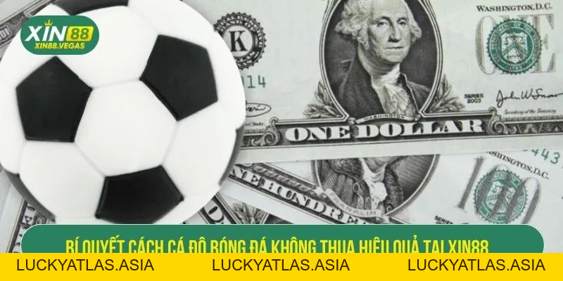 Bí Quyết Cách Cá Độ Bóng Đá Không Thua Hiệu Quả Tại XIN88