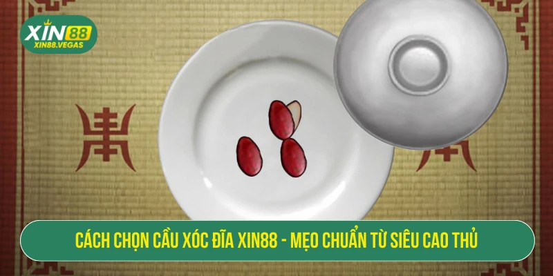 Cách Chọn Cầu Xóc Đĩa XIN88 - Mẹo Chuẩn Từ Siêu Cao Thủ