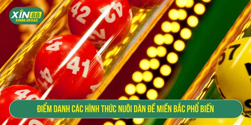 Nuôi Dàn Đề Miền Bắc XIN88: Chiến Lược Chuẩn Cho Bet Thủ