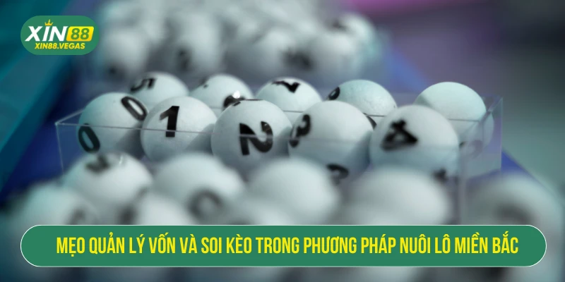 Nuôi Dàn Đề Miền Bắc XIN88: Chiến Lược Chuẩn Cho Bet Thủ