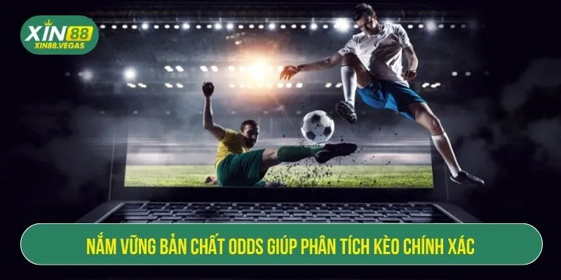 Odds Là Gì Trong Cá Độ Bóng Đá? Hướng Dẫn Chi Tiết Từ XIN88