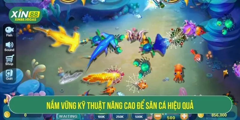 Cách Chơi Bắn Cá Luôn Thắng Với Chiến Lược Chuẩn