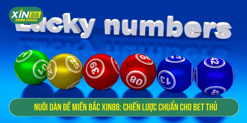 Nuôi Dàn Đề Miền Bắc XIN88: Chiến Lược Chuẩn Cho Bet Thủ