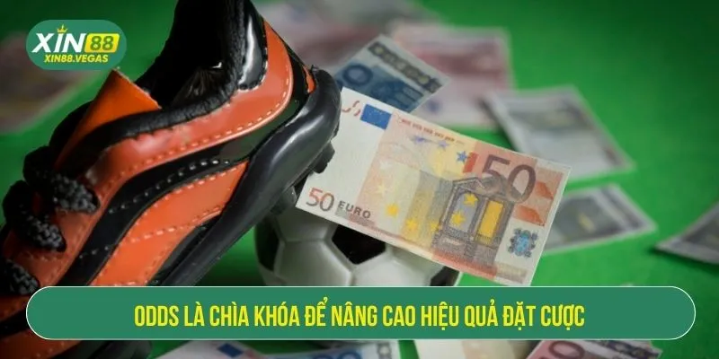 Odds Là Gì Trong Cá Độ Bóng Đá? Hướng Dẫn Chi Tiết Từ XIN88
