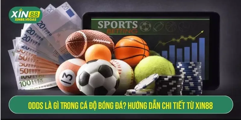 Odds Là Gì Trong Cá Độ Bóng Đá? Hướng Dẫn Chi Tiết Từ XIN88