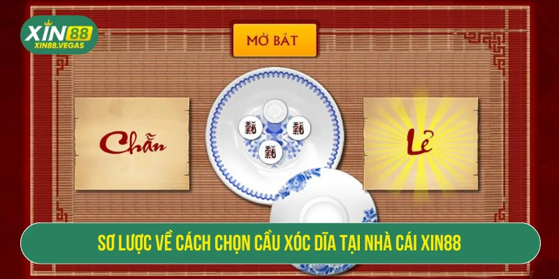 Cách Chọn Cầu Xóc Đĩa XIN88 - Mẹo Chuẩn Từ Siêu Cao Thủ