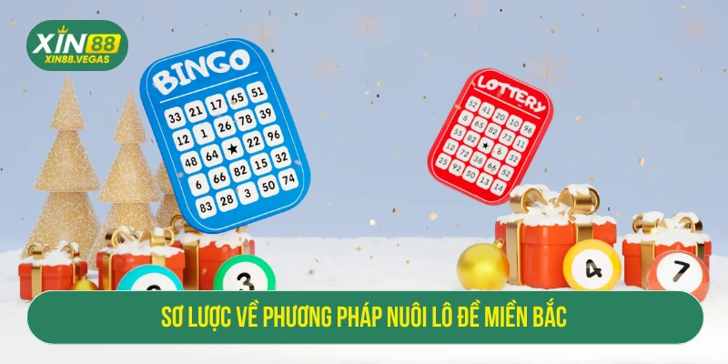 Nuôi Dàn Đề Miền Bắc XIN88: Chiến Lược Chuẩn Cho Bet Thủ