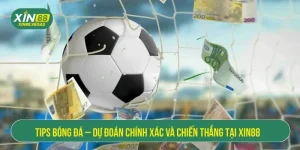 Mẹo cá cược Xin88 – Bí kíp thắng tiền siêu hay từ cao thủ
