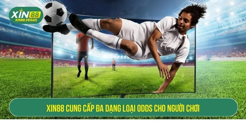Odds Là Gì Trong Cá Độ Bóng Đá? Hướng Dẫn Chi Tiết Từ XIN88