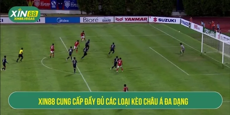 Kèo Châu Á Là Gì? Cách Đọc Tỷ Lệ Và Chiến Thuật Tại XIN88
